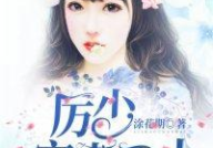 厉少霆简安安免费阅读,厉少霆与简安安的爱情传奇
