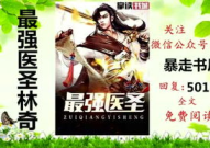 林奇最强圣医免费阅读,都市奇遇，医术巅峰，情场纵横