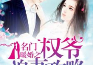 名门暖婚之权爷追妻攻略全文免费阅读,从误会到真爱