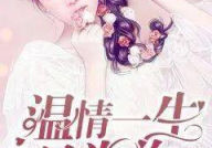 温情一生只为你免费阅读,贫民新娘逆袭豪门，爱情与复仇的交织之旅