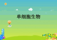 生物课件,探索生命奥秘，构建知识体系